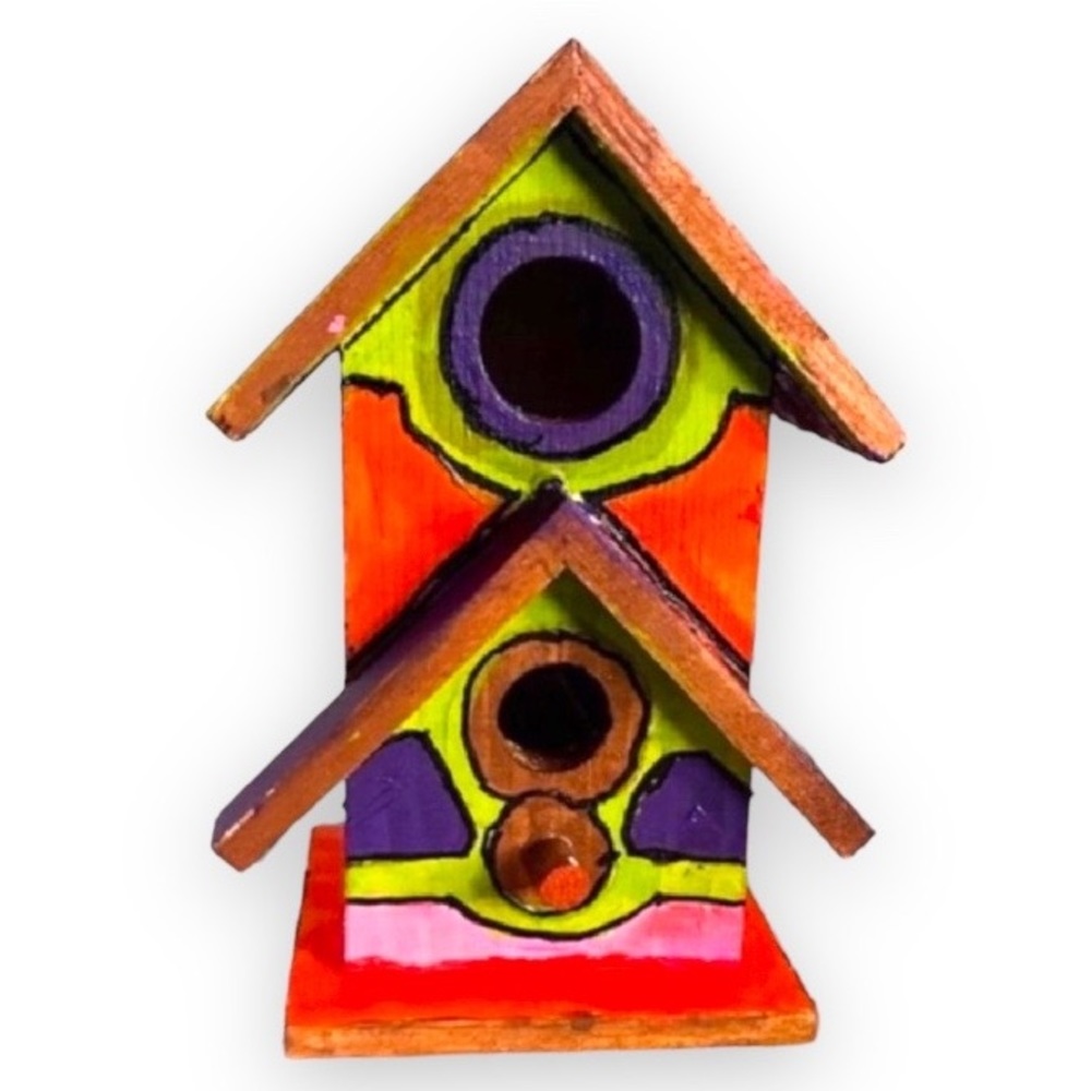 New Hand Painted & Handcrafted Double Hole Custom Birdhouse Home Decor